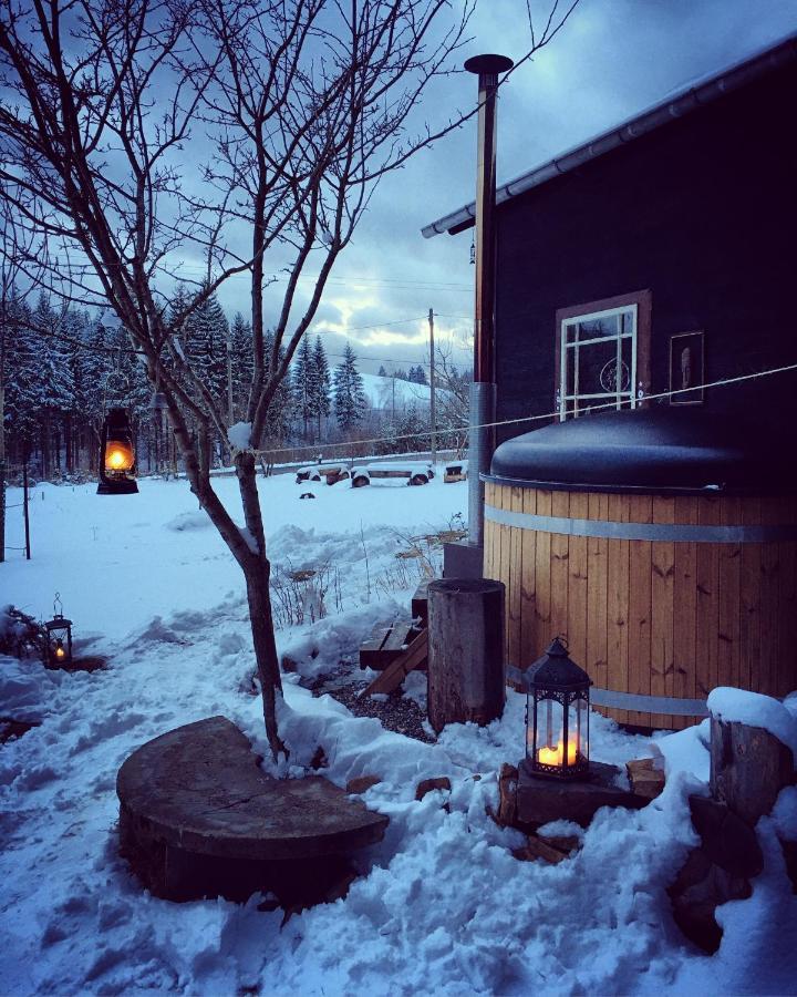 Blickinsfreie - Cabin シェーネック エクステリア 写真