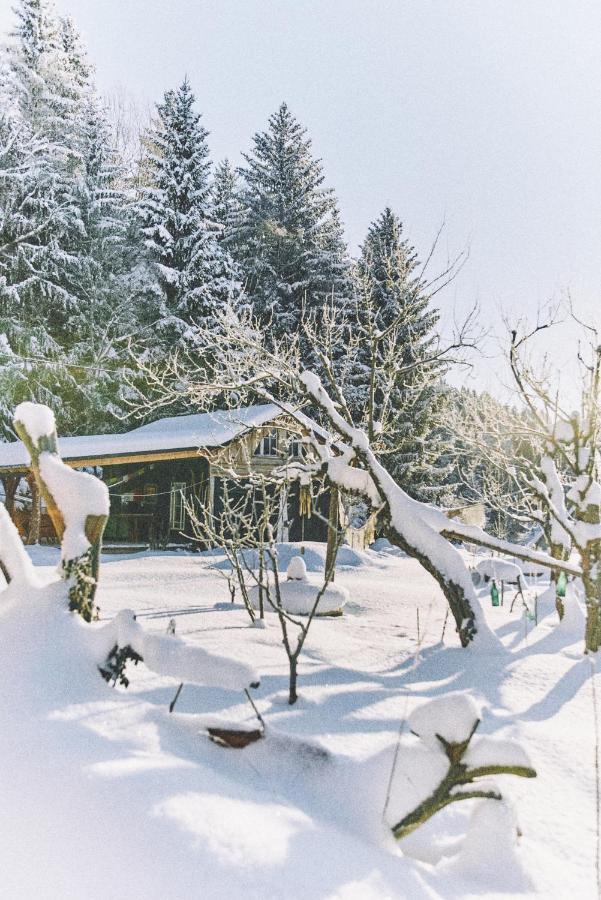 Blickinsfreie - Cabin シェーネック エクステリア 写真