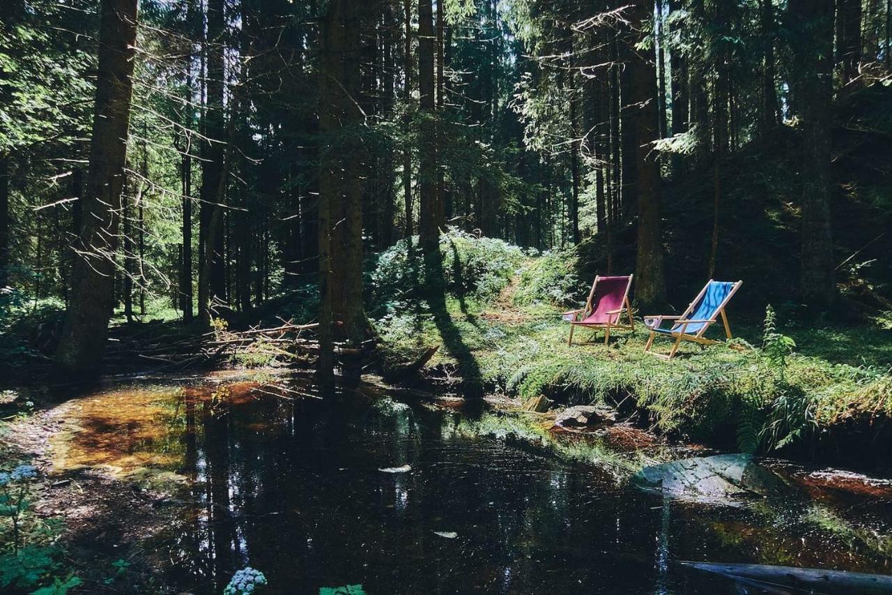 Blickinsfreie - Cabin シェーネック エクステリア 写真